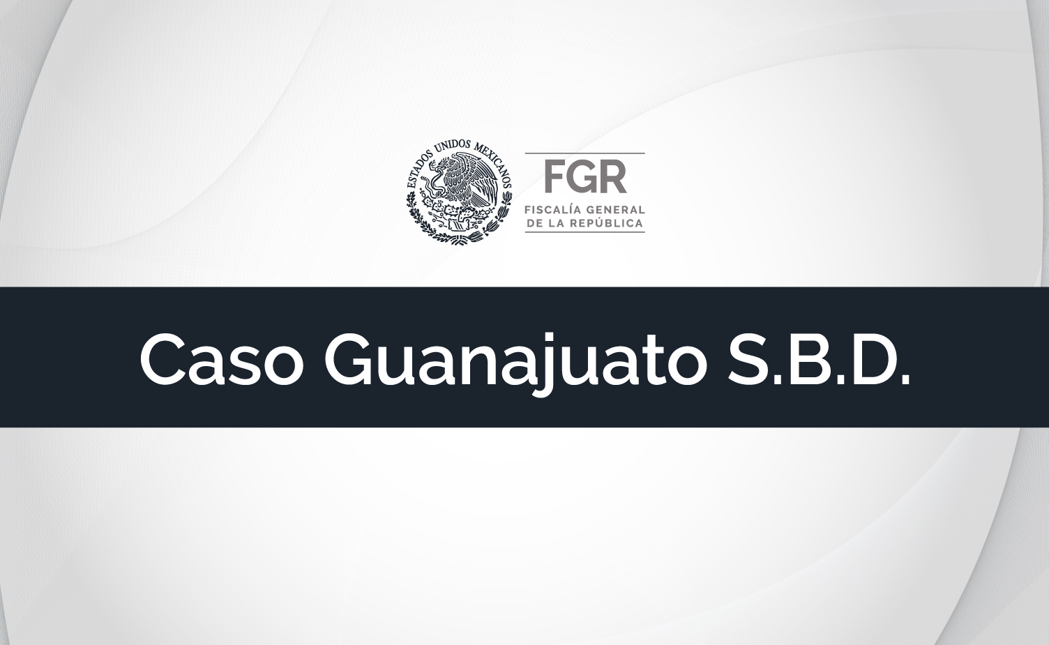 Caso Guanajuato S.B.D.